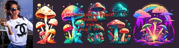 MESCALINE Аркадак