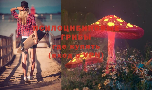 дмт Арсеньев