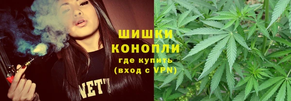 дмт Арсеньев